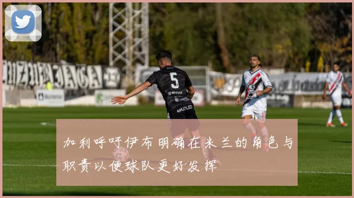 加利呼吁伊布明确在米兰的角色与职责以便球队更好发挥